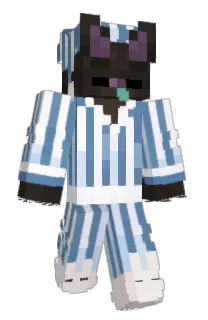 riibot's Minecraft skin