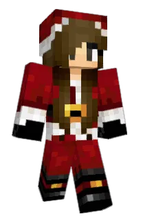 Front of bb's skin