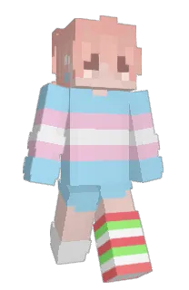 Front of Minecraft skin