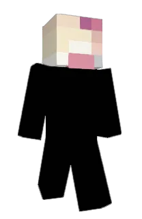 Front of BukkitAPI's skin