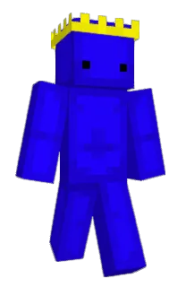 Front of AFNT's skin