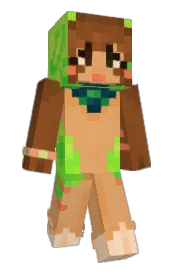 Skin preview