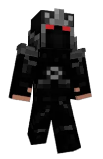 Front of lcpv's skin