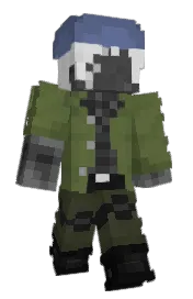 Skin preview