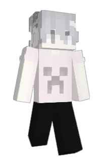 Front of savcce's skin