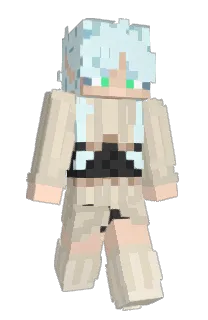 Front of Dallpir's skin