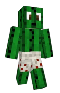 Front of Minecraft skin
