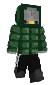 Skin preview