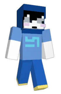 Front of 5POKE's skin