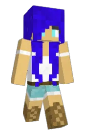 Skin preview
