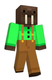 Skin preview