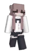 Wlnks
