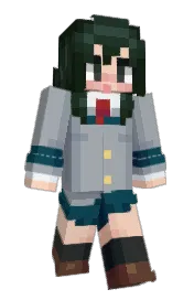 Skin preview