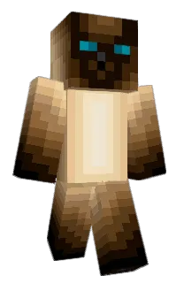 Front of Aryzn's skin