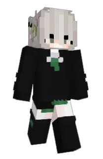Front of welxome's skin