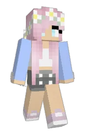 Skin preview