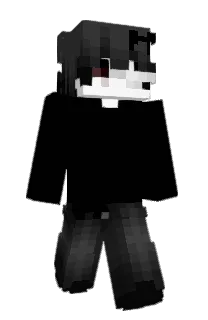 Front of WkDziks's skin