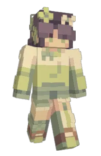 Front of Minecraft skin