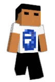 9fvw Minecraft avatar full body