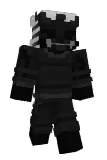 9inE3 Minecraft avatar full body
