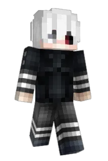 9kame Minecraft avatar full body