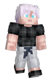 9lvndr Minecraft avatar full body