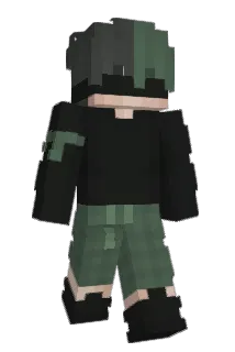 9n6 Minecraft avatar full body