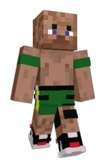 9nate4 Minecraft avatar full body