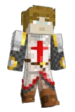 9rig Minecraft avatar full body