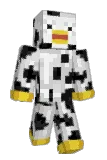 9x9s Minecraft avatar full body