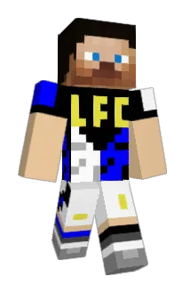 A0N17 Minecraft avatar full body