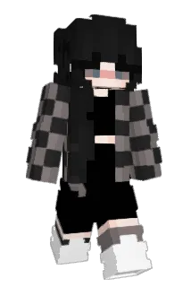 A12_ Minecraft avatar full body