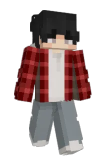 A260A Minecraft avatar full body