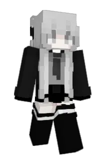 A6J Minecraft avatar full body