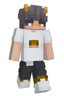 A809 Minecraft avatar full body