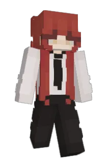 AAPKL Minecraft avatar full body