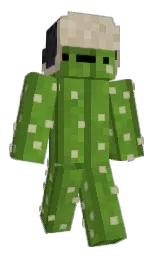 Custom render preview
