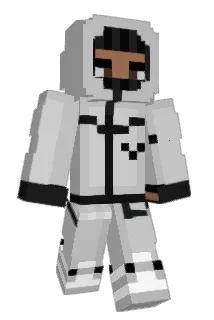 ACE4214 Minecraft avatar full body