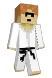 ACETDK Minecraft avatar full body