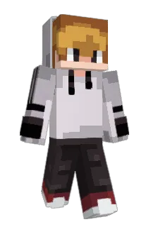ACEvids Minecraft avatar full body