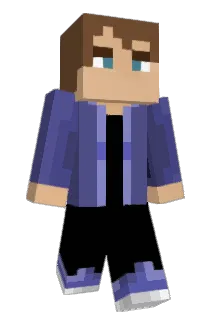 ACL4890 Minecraft avatar full body