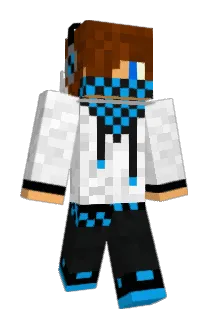 ACQR2000 Minecraft avatar full body