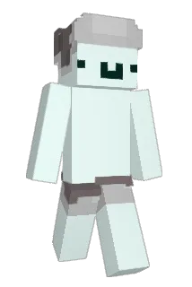 AC_855 Minecraft avatar full body