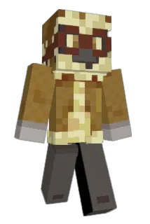ACarr3 Minecraft avatar full body