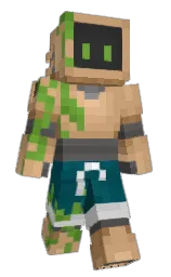Custom render preview