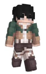 Custom render preview