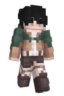 ADARMC Minecraft avatar full body