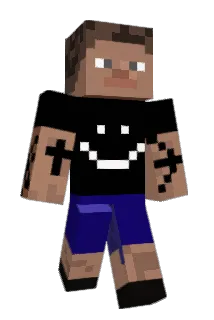 ADG200 Minecraft avatar full body