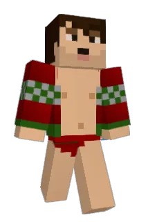 ADOS_H Minecraft avatar full body