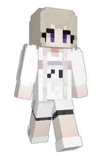 AE55T Minecraft avatar full body